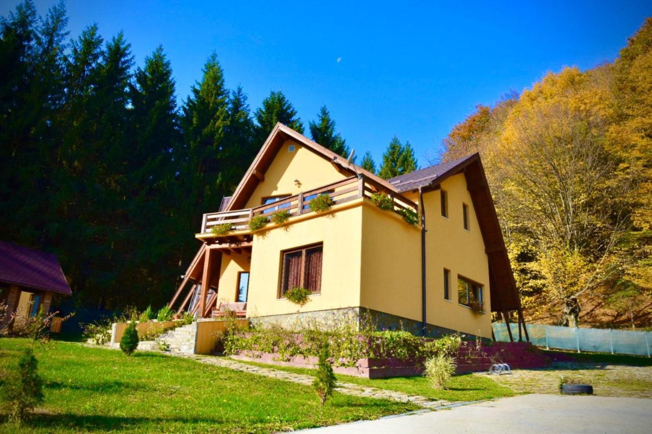 Green Property Dofteana Kültér fotó